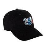 Бейсболка MITCHELL NESS арт. HLUX4800-CHOYYPPPBLCK Charlotte Hornets NBA (черный)