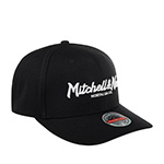 Бейсболка MITCHELL NESS арт. HHSSINTL103-MNNYYPPPBLCK Mitchell & Ness (черный)