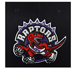 Бейсболка MITCHELL NESS арт. HHSSINTL1245-TRABLCK Toronto Raptors NBA (черный)