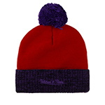 Шапка MITCHELL NESS арт. HPCK1052-TRAYYPPPRED1 Toronto Raptors NBA (красный / фиолетовый)