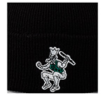 Шапка MITCHELL NESS арт. KTCFFH21HW017-BCEBLCK Boston Celtics NBA (черный)