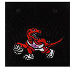 Бейсболка MITCHELL NESS арт. HLUX4800-TRAYYPPPBLCK Toronto Raptors NBA (черный)