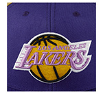 Бейсболка MITCHELL NESS арт. HHSF2990-LALYYPPPPURP Los Angeles Lakers NBA (фиолетовый / желтый)