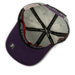 Бейсболка MITCHELL NESS арт. 6HSSMM19363-CHOGYHT Charlotte Hornets NBA (светло-серый)