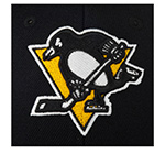 Бейсболка MITCHELL NESS арт. EU246-PITPEN-BLK Pittsburgh Penguins NHL (черный)
