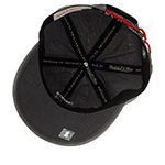 Бейсболка MITCHELL NESS арт. HLUO1193-TRAYYPPPGREY Toronto Raptors NBA (серый)