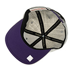 Бейсболка MITCHELL NESS арт. HHSS3272-CHOYYPPPGYHT Charlotte Hornets NBA (светло-серый)