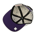 Бейсболка MITCHELL NESS арт. HHSS3272-LALYYPPPGYHT Los Angeles Lakers NBA (светло-серый)