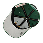 Бейсболка MITCHELL NESS арт. HP8012-SSUGREEN Seattle Supersonics NBA (зеленый)