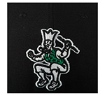Бейсболка MITCHELL NESS арт. 6HSFSH22051-BCEBLCK Boston Celtics NBA (черный / зеленый)