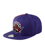 Бейсболка MITCHELL NESS арт. HHSF2990-TRAYYPPPPURP Toronto Raptors NBA (фиолетовый)
