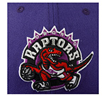 Бейсболка MITCHELL NESS арт. HHSF2990-TRAYYPPPPURP Toronto Raptors NBA (фиолетовый)