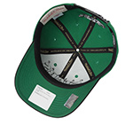 Бейсболка MITCHELL NESS арт. HHSS6642-DSTYYPPPGREN Dallas Stars NHL (зеленый / черный)