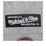 Бейсболка MITCHELL NESS арт. HHSSINTL115-MNNYYPPPGYHT (светло-серый)