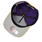 Бейсболка MITCHELL NESS арт. HP11495-LALPURP Los Angeles Lakers NBA (фиолетовый / желтый)