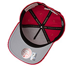 Бейсболка MITCHELL NESS арт. HP14515-DRWRED1 Detroit Red Wings NHL (красный)