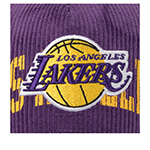 Бейсболка MITCHELL NESS арт. HP14518-LALPURP Los Angeles Lakers NBA (фиолетовый)