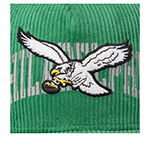 Бейсболка MITCHELL NESS арт. HP14516-PEAGREN Philadelphia Eagles NFL (зеленый)