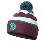 Шапка MITCHELL NESS арт. HK10243-ADUPURP Anaheim Ducks NHL (сливовый / зеленый)