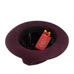 Шляпа CHRISTYS арт. CHEPSTOW cwf100011 (бордовый)