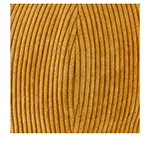 Кепка AIS COLLEZIONI арт. 8(У) VT (горчичный)