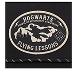 Бейсболка CAPSLAB арт. CL/HP4/1/CT/FLY1B Harry Potter Hogwarts (черный)