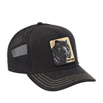 Бейсболка GOORIN BROTHERS арт. 101-2529 (черный)
