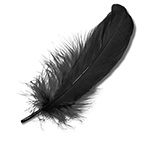 Перо GOORIN BROTHERS арт. 123-5960 (черный)