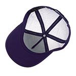 Бейсболка GOORIN BROTHERS арт. 101-0389 (фиолетовый)