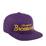 Бейсболка HOOD арт. 100-MWL001-CA001-CN Brentwood Laker, CA (фиолетовый)