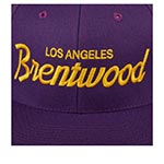 Бейсболка HOOD арт. 100-MWL001-CA001-CN Brentwood Laker, CA (фиолетовый)