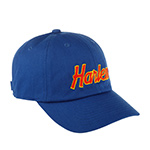 Бейсболка HOOD арт. 136-CTW029-NY019-RL Harlem Chain Dad (синий)