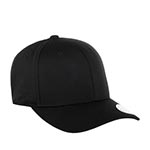 Бейсболка FLEXFIT арт. 110C (черный)