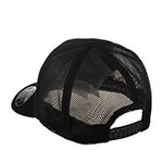 Бейсболка FLEXFIT арт. 110T (черный)