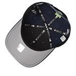 Бейсболка NEW ERA арт. 60691848 Seattle Seahawks NFL (темно-синий)